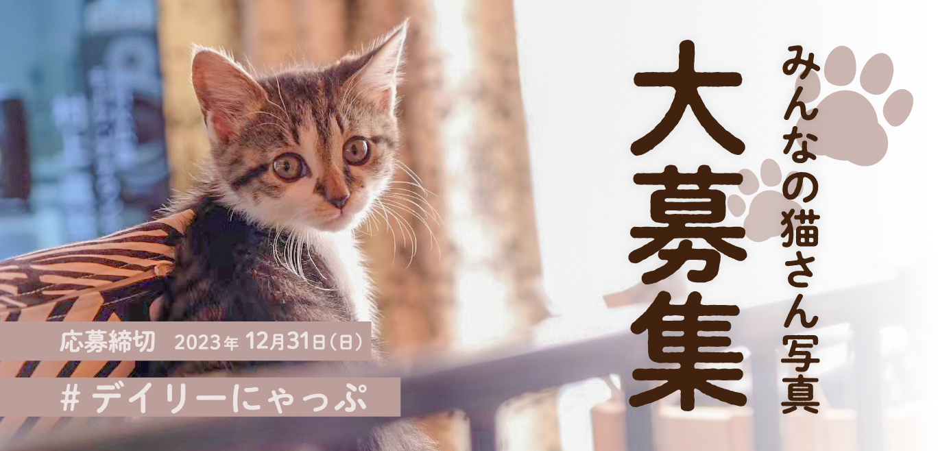 05_neko